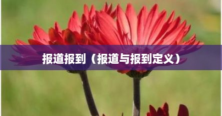 报道 和报到（报到报道之间的区别）