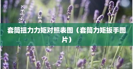 套筒扭力力矩对照表图（套筒力矩扳手图片）