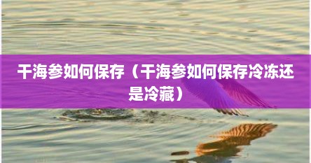 干海参如何保存（干海参如何保存冷冻还是冷藏）