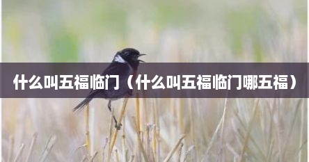 什么叫五福临门（什么叫五福临门哪五福）