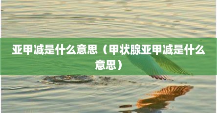 亚甲减是什么意思（甲状腺亚甲减是什么意思）