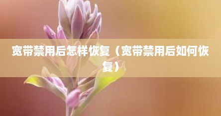 宽带禁用后怎样恢复（宽带禁用后如何恢复）