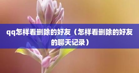 qq怎样看删除的好友（怎样看删除的好友的聊天记录）