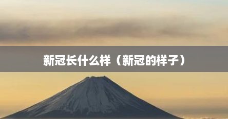 新冠长什么样（新冠的样子）