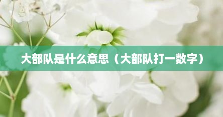 大部队是什么意思（大部队打一数字）