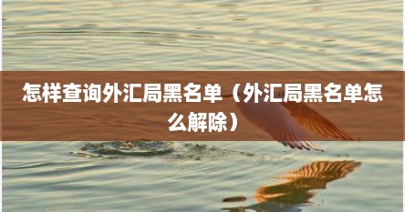 怎样查询外汇局黑名单（外汇局黑名单怎么解除）