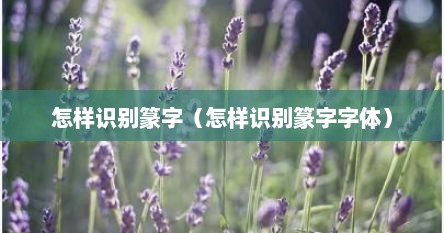 怎样识别篆字（怎样识别篆字字体）