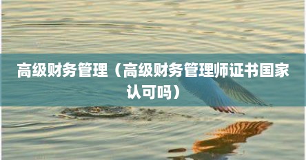 高级财务管理（高级财务管理师证书国家认可吗）