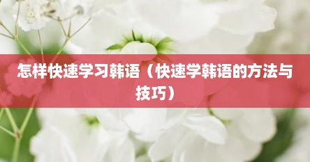 怎样快速学习韩语（快速学韩语的方法与技巧）