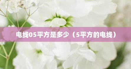 电线05平方是多少（5平方的电线）