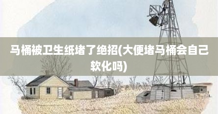 马桶被卫生纸堵了绝招(大便堵马桶会自己软化吗)