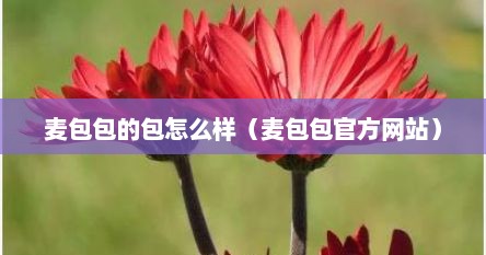 麦包包的包怎么样（麦包包官方网站）