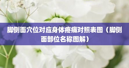 脚侧面穴位对应身体疼痛对照表图（脚侧面部位名称图解）