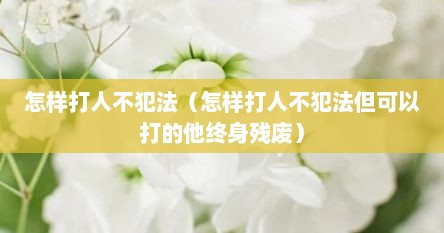 怎样打人不犯法（怎样打人不犯法但可以打的他终身残废）