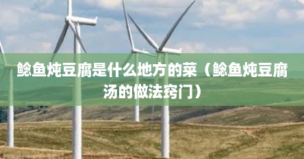 鲶鱼炖豆腐是什么地方的菜（鲶鱼炖豆腐汤的做法窍门）