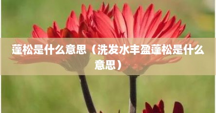 蓬松是什么意思（洗发水丰盈蓬松是什么意思）