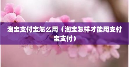 淘宝支付宝用微信支付怎么设置（支付宝怎样可以进行淘宝支付）
