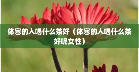 体寒的人喝什么茶好（体寒的人喝什么茶好呢女性）