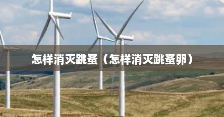 怎样消灭跳蚤（怎样消灭跳蚤卵）
