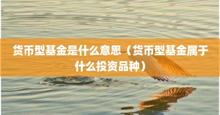 货币型基金是什么意思（货币型基金属于什么投资品种）