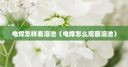 电焊怎样看溶池（电焊怎么观察溶池）