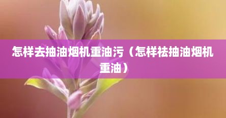 怎样去抽油烟机重油污（怎样祛抽油烟机重油）