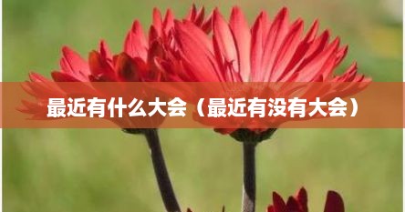 最近有什么大会（最近有没有大会）