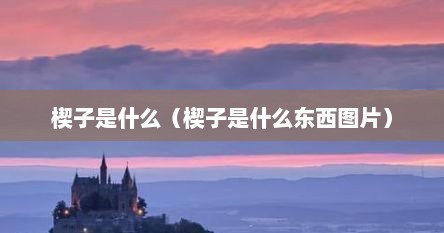 楔子是什么（楔子是什么东西图片）