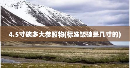 4.5寸碗多大参照物(标准饭碗是几寸的)