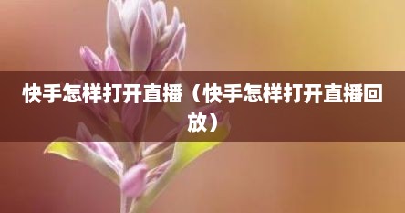 快手怎样打开直播（快手怎样打开直播回放）