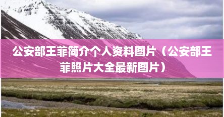 公安部王菲简介个人资料图片（公安部王菲照片大全最新图片）