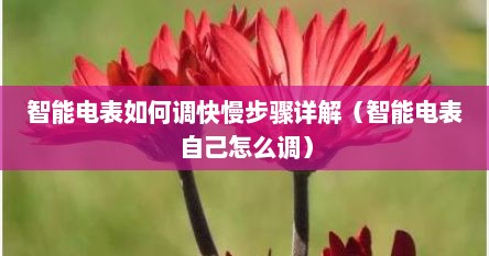 智能电表如何调快慢步骤详解（智能电表自己怎么调）
