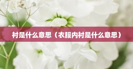 衣服衬里是什么意思（服装内衬都是什么材质）