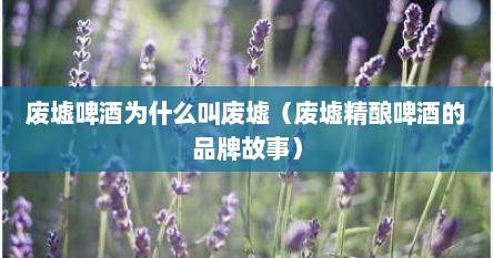 废墟啤酒为什么叫废墟（废墟精酿啤酒的品牌故事）