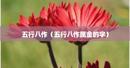 五行八作（五行八作属金的字）