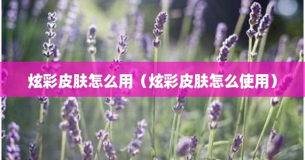炫彩皮肤怎么用（炫彩皮肤怎么使用）