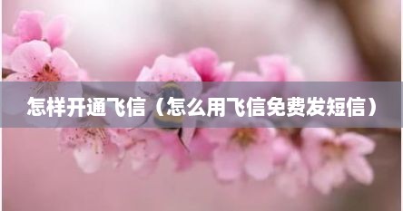 怎样开通飞信（怎么用飞信免费发短信）