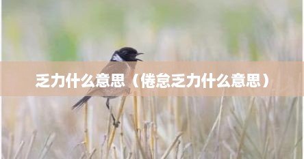 乏力什么意思（倦怠乏力什么意思）