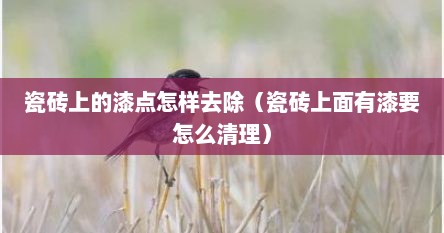 瓷砖上的漆点怎样去除（瓷砖上面有漆要怎么清理）