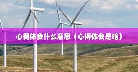 心得体会什么意思（心得体会是啥）