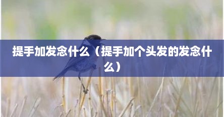 提手加发念什么（提手加个头发的发念什么）