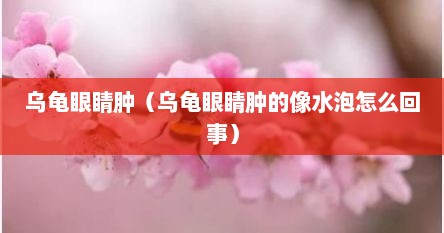 乌龟眼睛肿（乌龟眼睛肿的像水泡怎么回事）