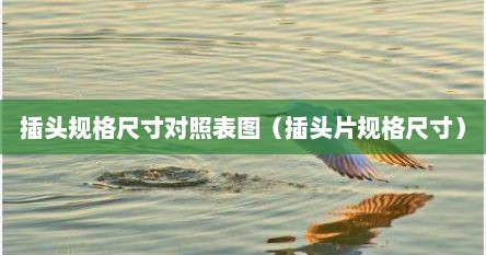 插头规格尺寸对照表图（插头片规格尺寸）