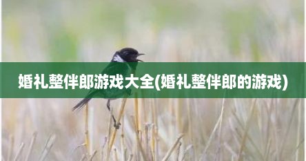 婚礼整伴郎游戏大全(婚礼整伴郎的游戏)