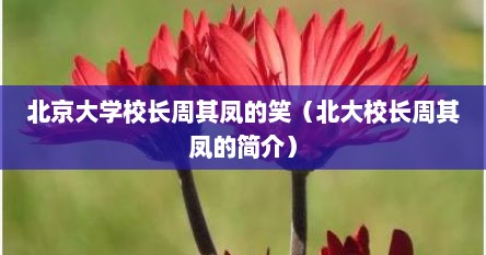 北京大学校长周其凤的笑（北大校长周其凤的简介）