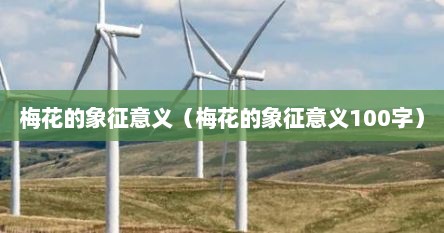 梅花的象征意义（梅花的象征意义100字）