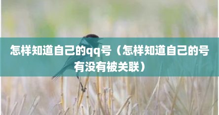 怎样知道自己的qq号（怎样知道自己的号有没有被关联）