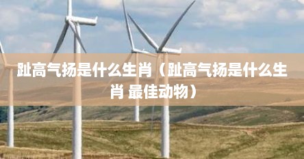 趾高气扬是什么生肖（趾高气扬是什么生肖 最佳动物）