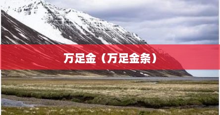万足金（万足金条）