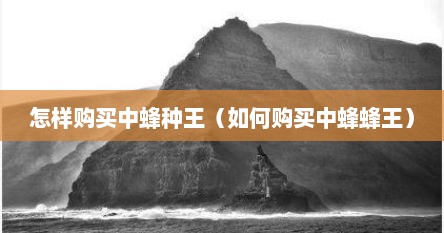怎样购买中蜂种王（如何购买中蜂蜂王）